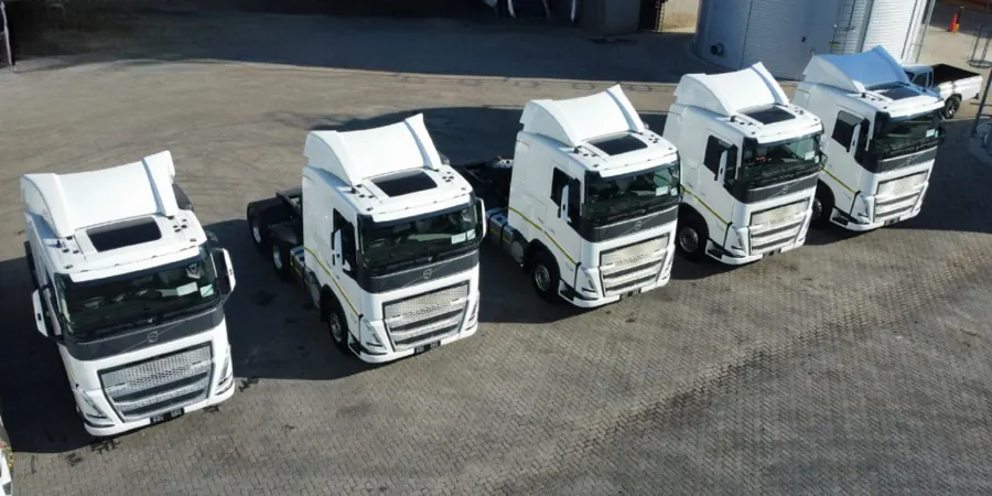 Row of white trucks parked in a yard